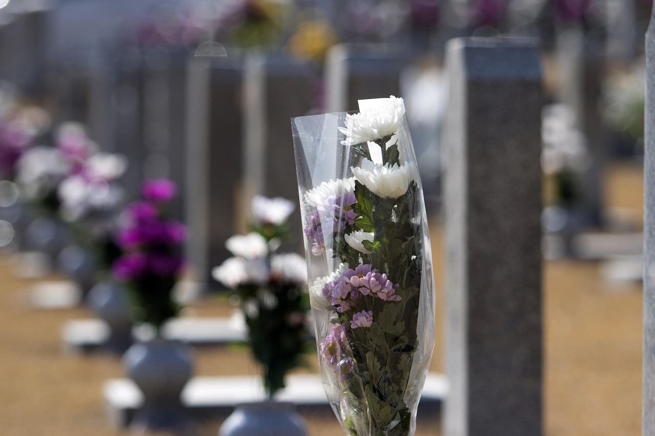 national cemetery, memorial, mourning, cemetry, cemetery, add also, patriotism, national merit, wreath, the, cemetry, cemetry, cemetry, cemetry, cemetry