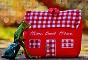 house, at home, arrive, frog, funny, trolley, material, decoration, door stopper, red, home sweet home, fun, deco, tissue, coloured