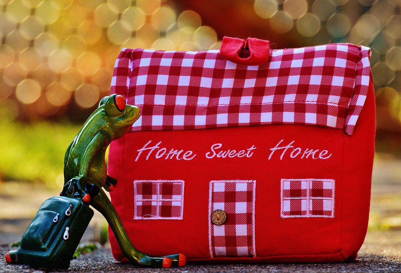 house, at home, arrive, frog, funny, trolley, material, decoration, door stopper, red, home sweet home, fun, deco, tissue, coloured